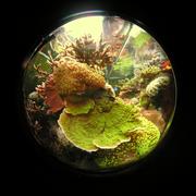 fish10.JPG