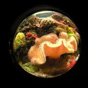 fish16.JPG