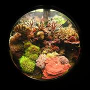 fish18.JPG