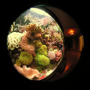 fish19.JPG