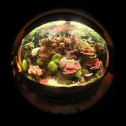 fish25.JPG
